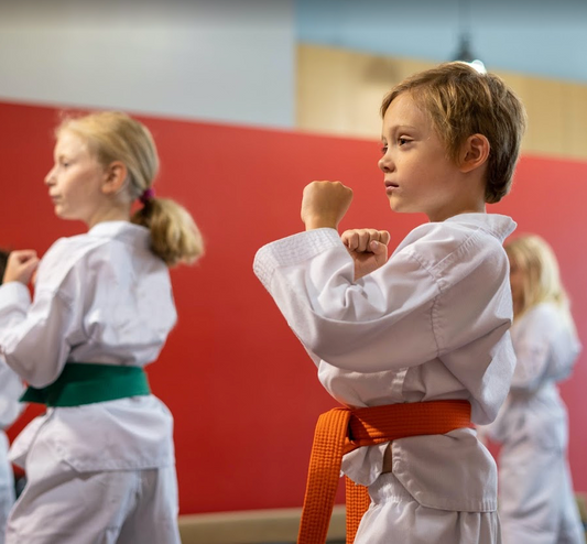 Kick-off Summer Fun at Forest Hill Taekwondo - $550